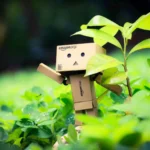 Slylar Box: Smart Storage and Digital Platform for Everyone